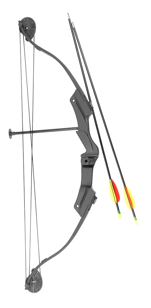 Compound Bow and Arrow