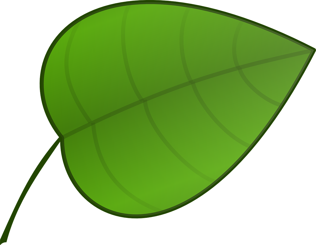 leaf 